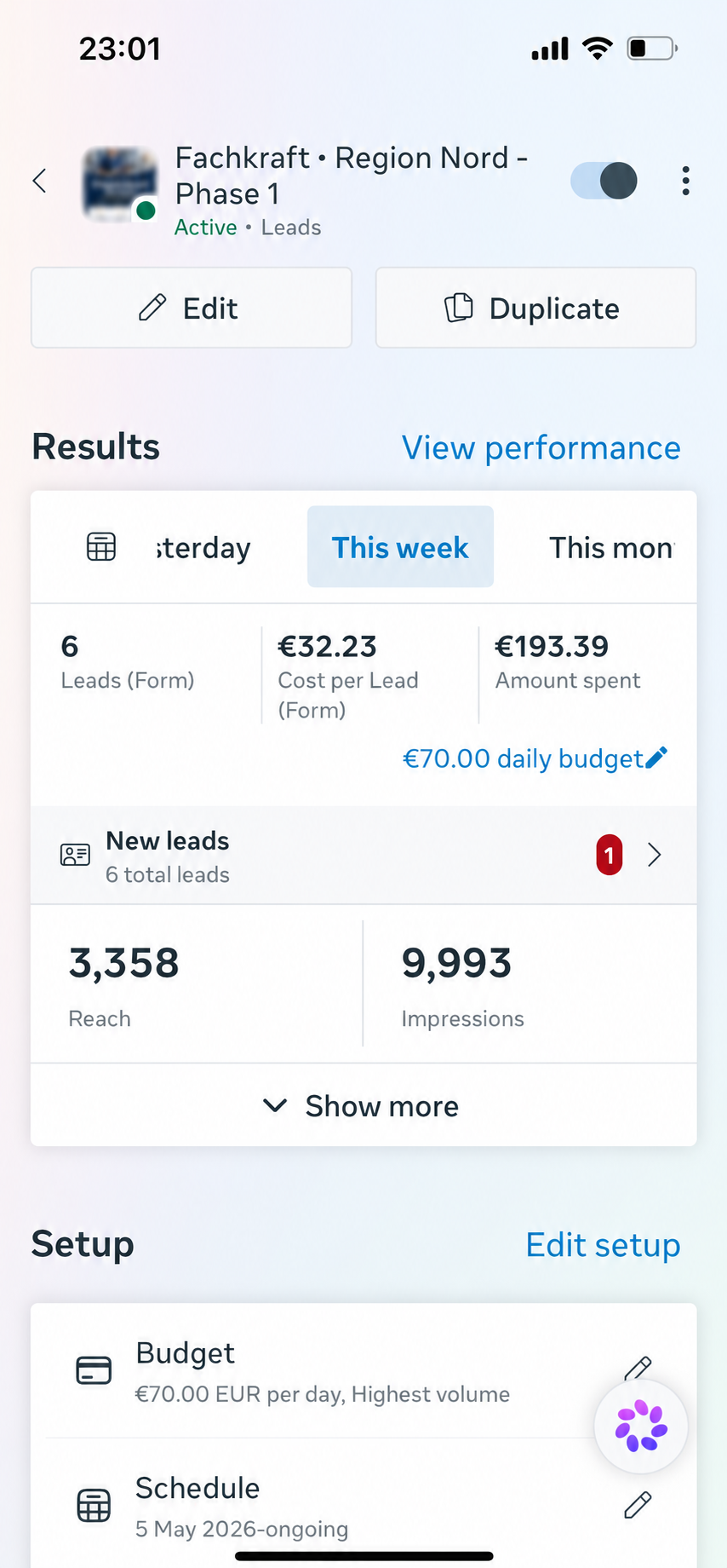 Meta Lead Form Kampagne · 6 Leads bei 32,23 EUR pro Lead
